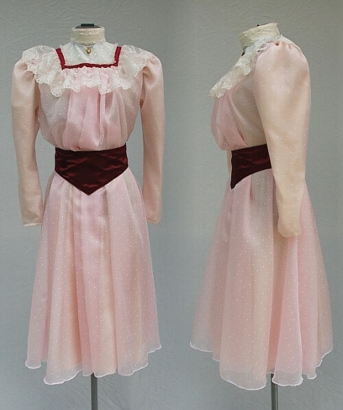 1893 Chicago Worlds Fair Victorican Girl Outfit for Book Cover