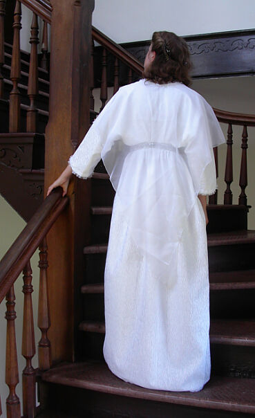1918 Tea Dress Back