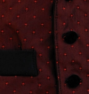 Night Watch Mens Victorian Waistcoat Detail