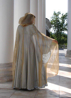 Gold Crystal Organza Cloak