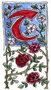 Welcome to Twin Roses Designs!